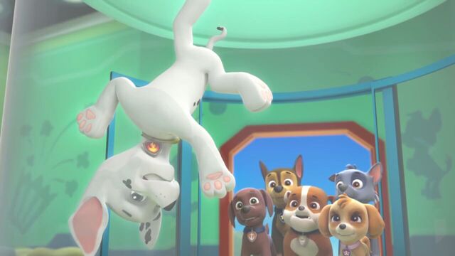 File:PAW.Patrol.S01E26.Pups.and.the.Pirate.Treasure.720p.WEBRip.x264.AAC 203036.jpg