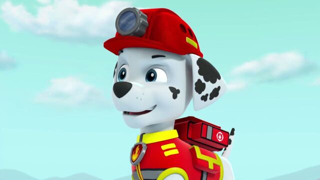File:PAW.Patrol.S02E07.The.New.Pup.720p.WEBRip.x264.AAC 787353.jpg