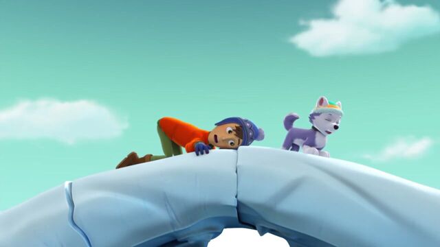 File:PAW.Patrol.S02E07.The.New.Pup.720p.WEBRip.x264.AAC 1068401.jpg