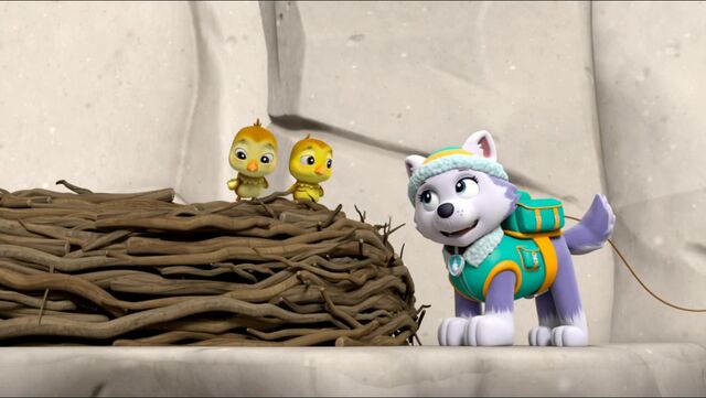 File:All Star Pups! 32.jpg