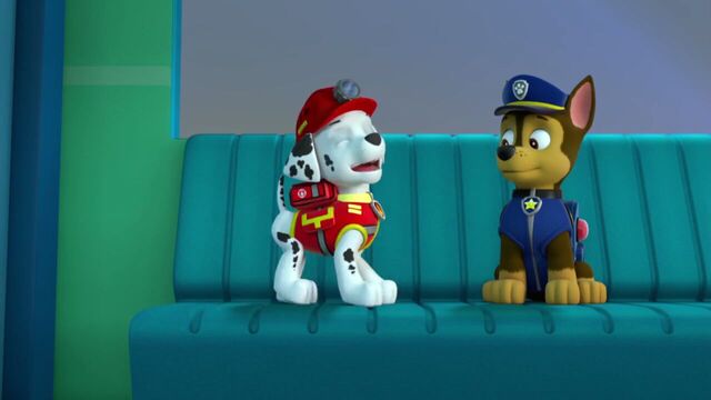 File:PAW.Patrol.S02E07.The.New.Pup.720p.WEBRip.x264.AAC 222823.jpg