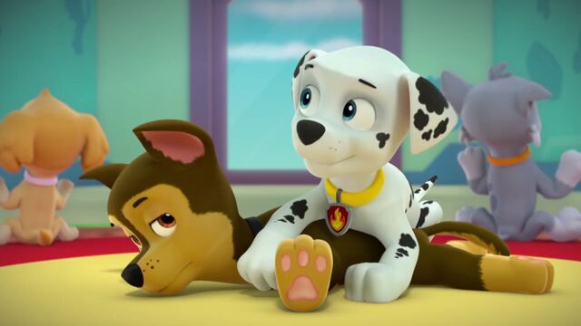 File:PAW.Patrol.S02E02.Pups.Save.the.Penguins.-.Pups.Save.a.Dolphin.Pup.720p.WEBRip.x264.AAC.mp4 000165298.jpg