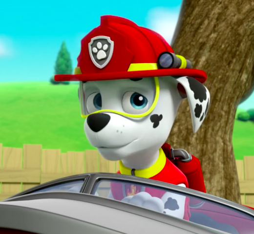 File:Screenshot 2017-04-29 17.20.25(3).png