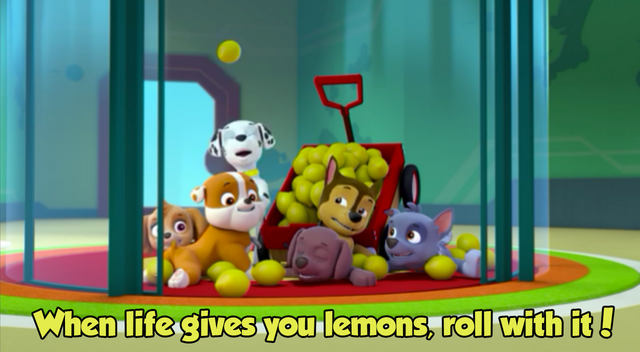 File:11146314 762909957155831 6524500479251154682 o.png