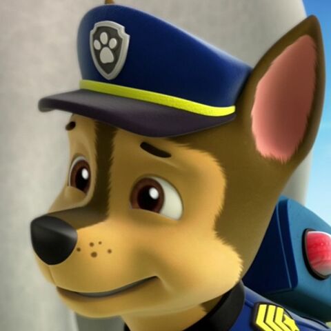 File:Cute Chase.jpg