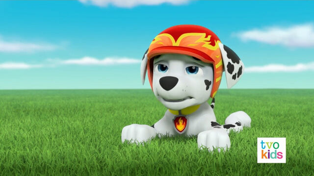 File:PAW Patrol Pups Save a Satellite Scene 13.jpg