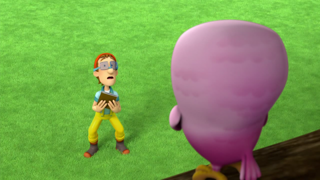 File:Lc11.png