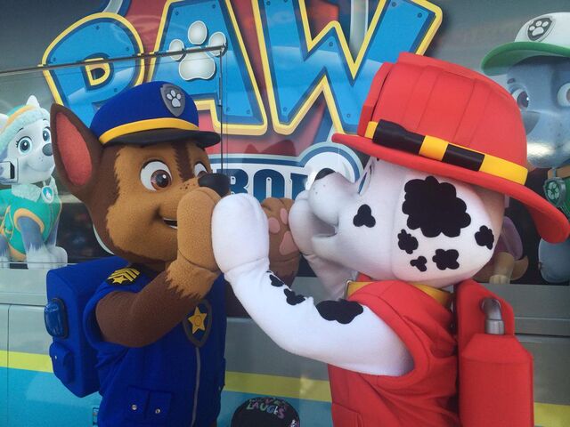 File:PAW FIVE!.jpg