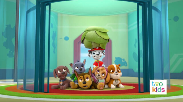 File:PAW Patrol 319A Scene 20.jpg