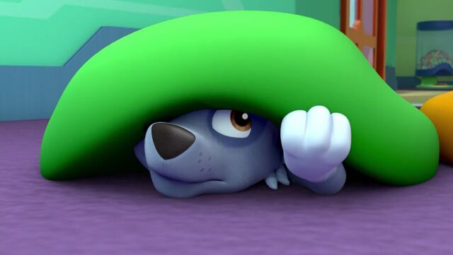 File:PAW Patrol Lost Tooth Scene 42 Rocky.jpg