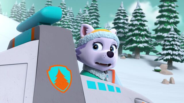 File:Sleepwalking Bear 29.jpg