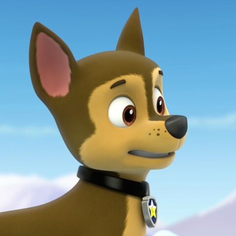 File:6c0c271679aa11e38f0112a8e543a953 8.jpg