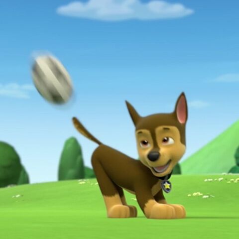 File:Chase playing soccer.jpg