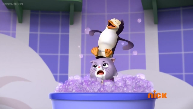 File:Penguin on Cali.png