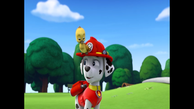 File:Pp1128.png
