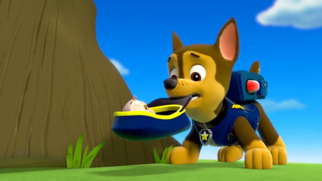 File:Chase hat catch.png
