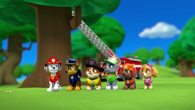 File:PAW.Patrol.S01E26.Pups.and.the.Pirate.Treasure.720p.WEBRip.x264.AAC 1034367.jpg