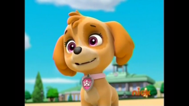 File:Pp564.png