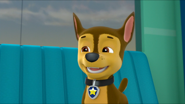 File:Pony 4.png