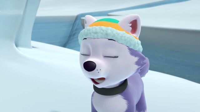 File:PAW.Patrol.S02E07.The.New.Pup.720p.WEBRip.x264.AAC 385852.jpg