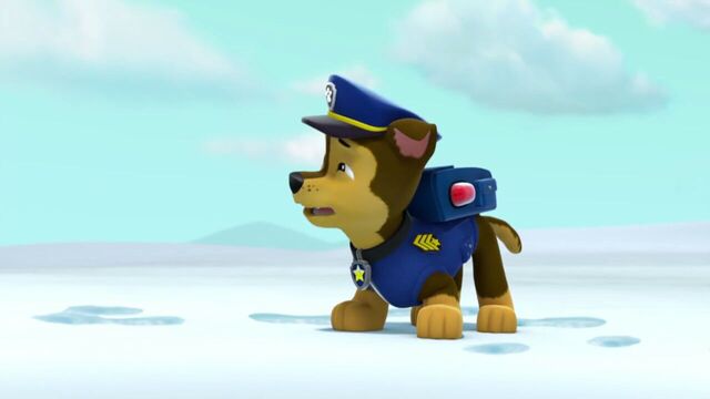 File:PAW.Patrol.S02E07.The.New.Pup.720p.WEBRip.x264.AAC 851284.jpg
