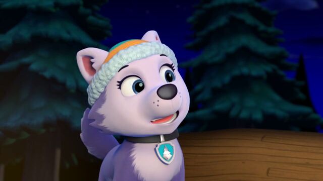 File:PAW.Patrol.S02E07.The.New.Pup.720p.WEBRip.x264.AAC 1355621.jpg