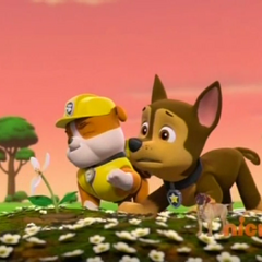 Rubble/Gallery/Pups Save the Queen Bee | PAW Patrol Wiki | FANDOM ...