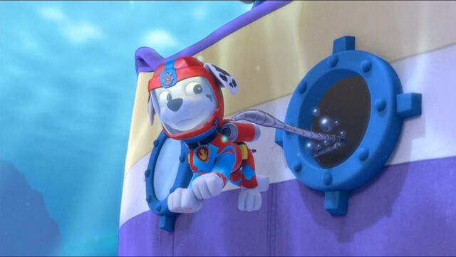 File:Baby Octopus 66.jpg