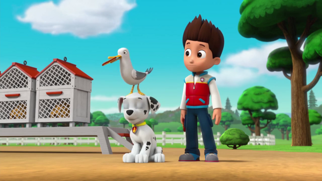 File:Vlcsnap-2015-05-25-12h48m37s233.png