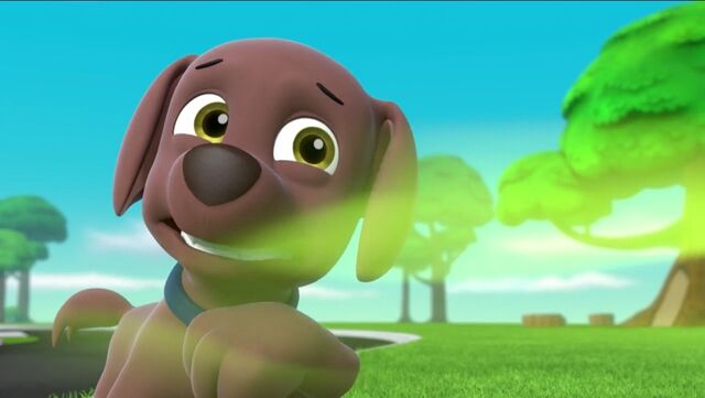 File:PAW Patrol Stinky Flower Scene 14.jpg