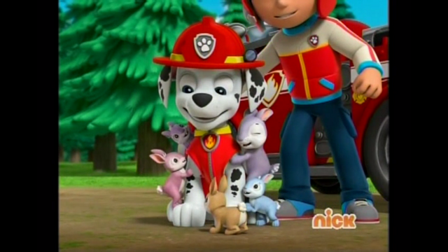 File:Pp2301.png
