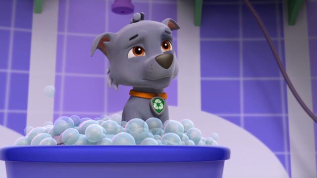 File:PAW.Patrol.S01E15.Pups.Make.a.Splash.-.Pups.Fall.Festival.720p.WEBRip.x264.AAC 689989.jpg