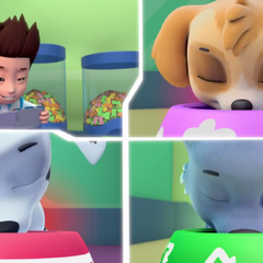 paw patrol pups save a lucky collar