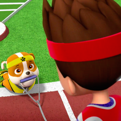 Ryder/Gallery/Pups Save a Sports Day | PAW Patrol Wiki | FANDOM powered by Wikia