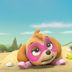 pups save skye