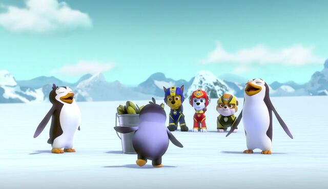 File:A Teeny Penguin 39.jpg