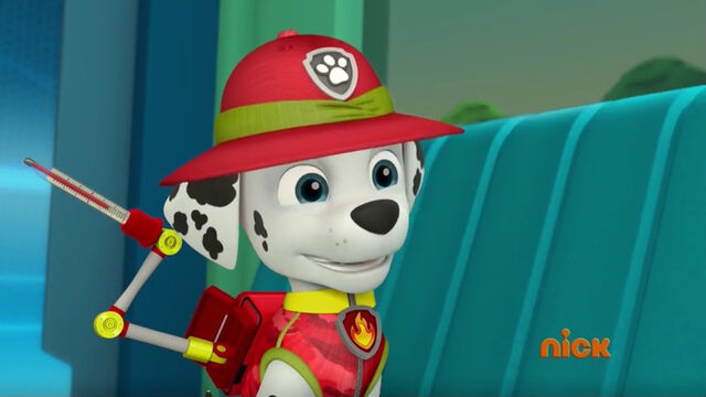 File:PAW Patrol 321A Scene 5.jpg