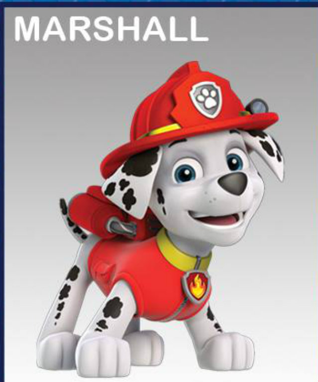 paw patrol marshall paw patrol marshall