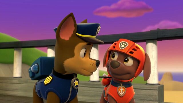 File:PAW.Patrol.S01E26.Pups.and.the.Pirate.Treasure.720p.WEBRip.x264.AAC 1231330.jpg