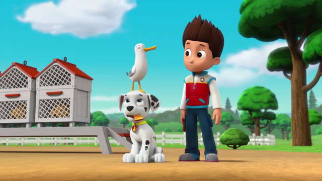 File:Vlcsnap-2015-05-25-12h47m52s43.png