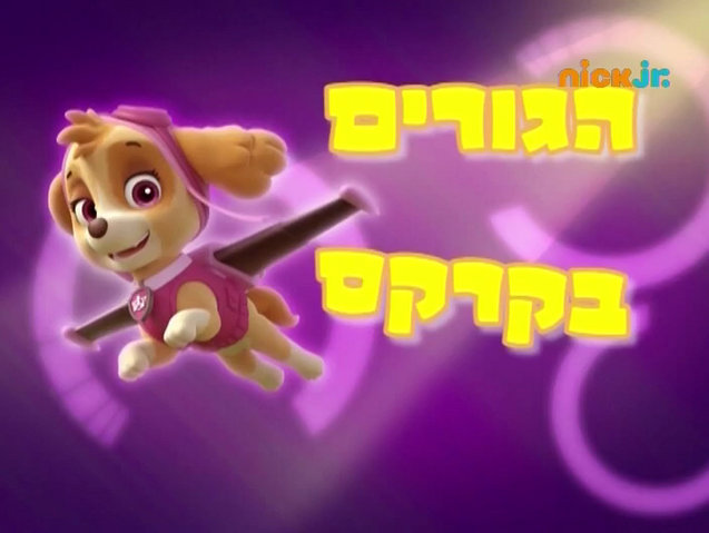 File:מפרץ ההרפתקאות הגורים בקרקס.png