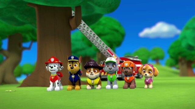 File:PAW.Patrol.S01E26.Pups.and.the.Pirate.Treasure.720p.WEBRip.x264.AAC 1031564.jpg