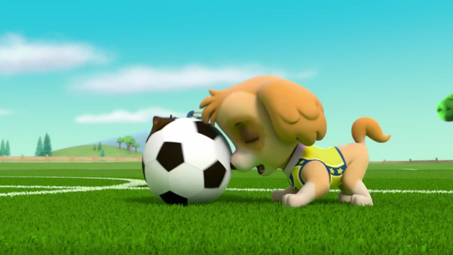 File:Pups Soccer 42.png