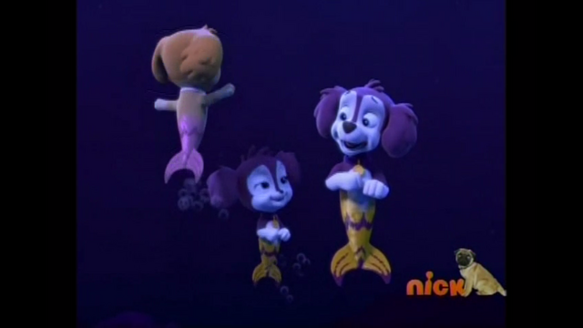 File:Pp2817.png