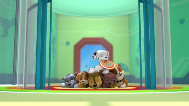 File:PAW.Patrol 6756.jpg