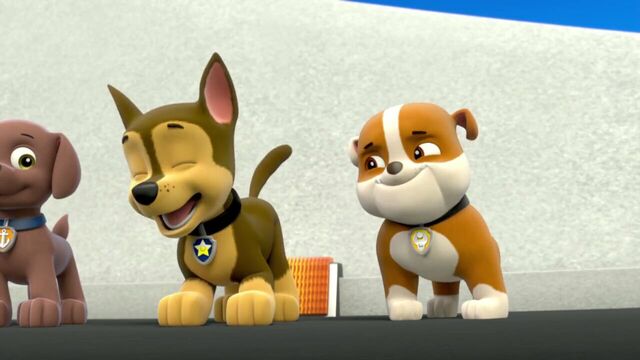 File:PAW.Patrol.S01E26.Pups.and.the.Pirate.Treasure.720p.WEBRip.x264.AAC 132866.jpg