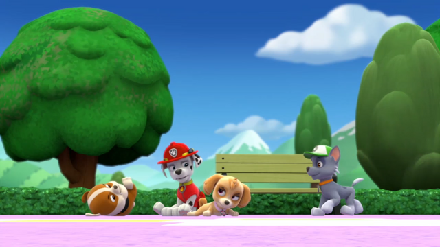 File:Pp881.png