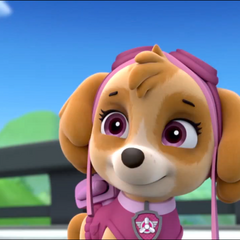 talk to the paw patrol