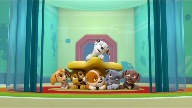 File:Sleepover 30.jpg