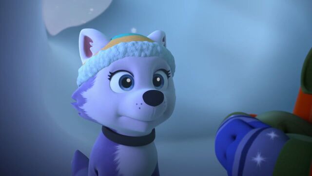 File:PAW.Patrol.S02E07.The.New.Pup.720p.WEBRip.x264.AAC 574574.jpg